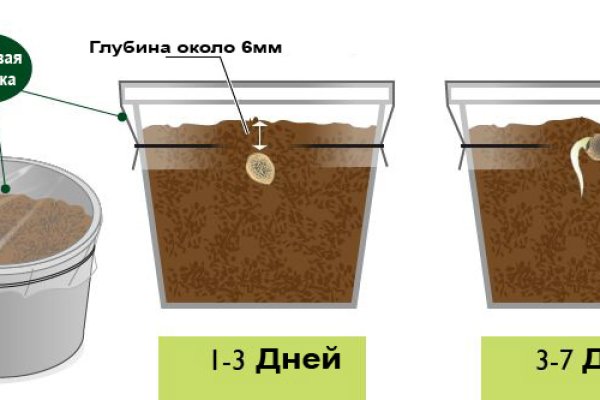 Как зайти на кракен тор