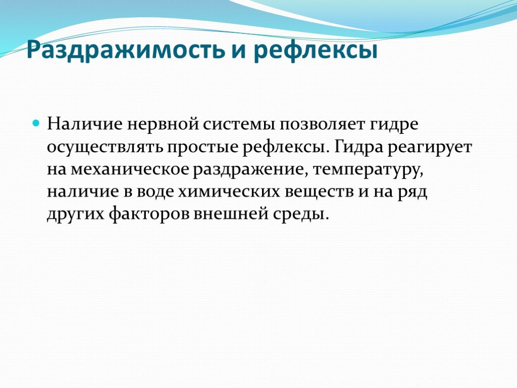 Почему не работает кракен сегодня